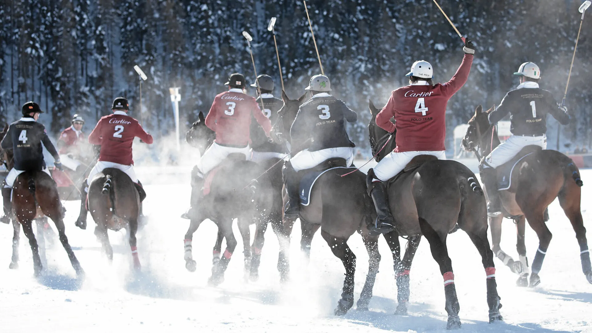 Snow polo players at full gallop, kicking up snow